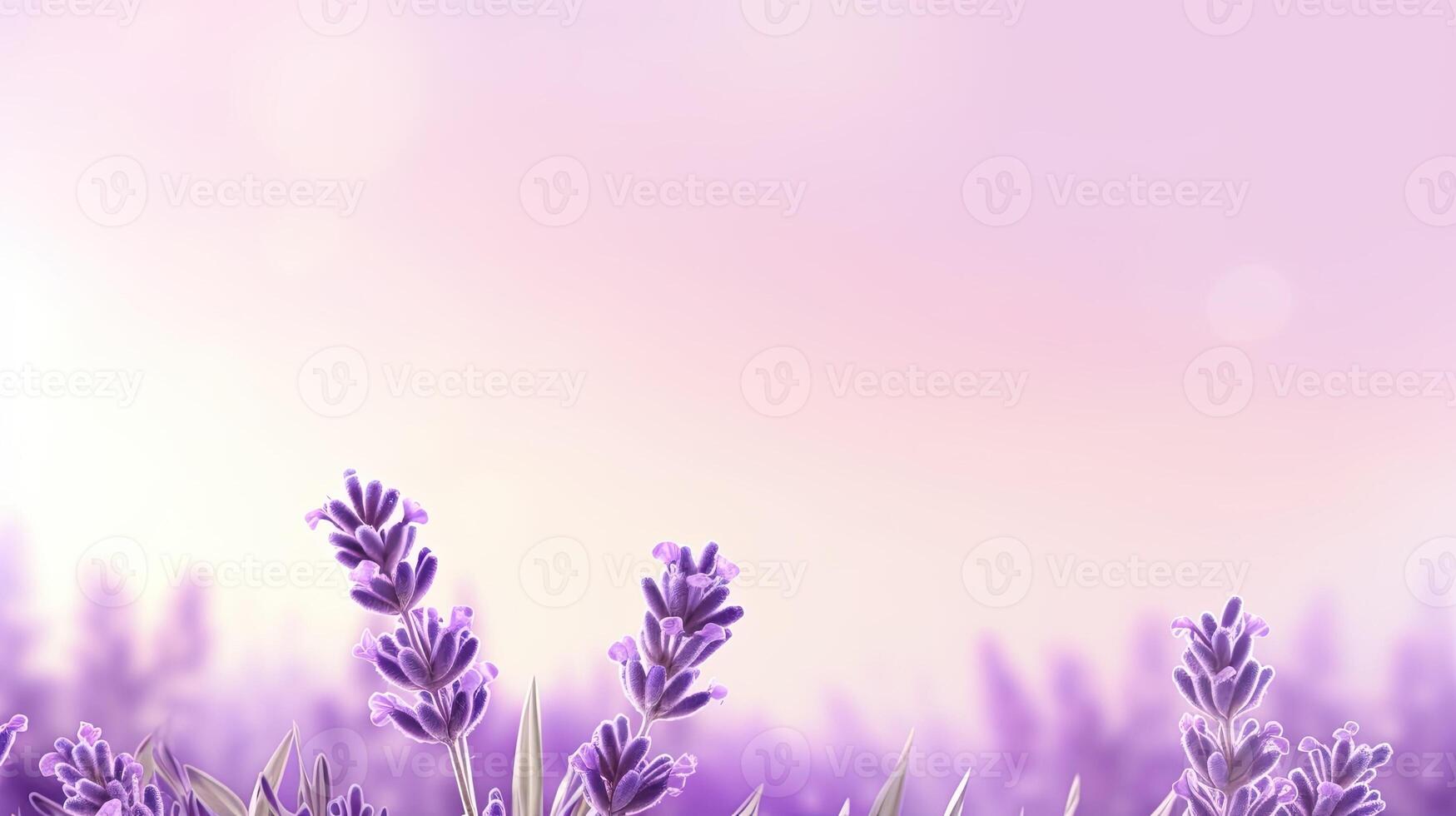 Lavender field. Web banner with copy space. Generative AI photo