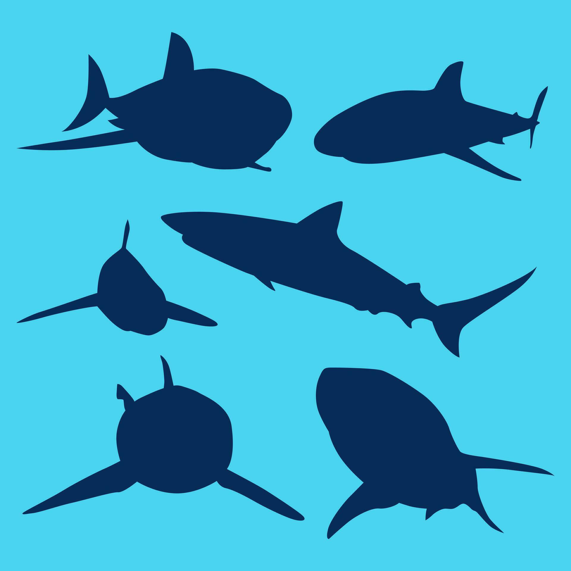 collection of shark silhouettes in the sea 26468721 Vector Art at Vecteezy