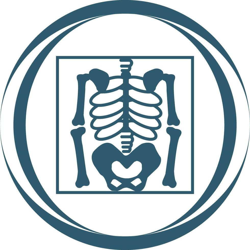 Skeleton Vector Icon