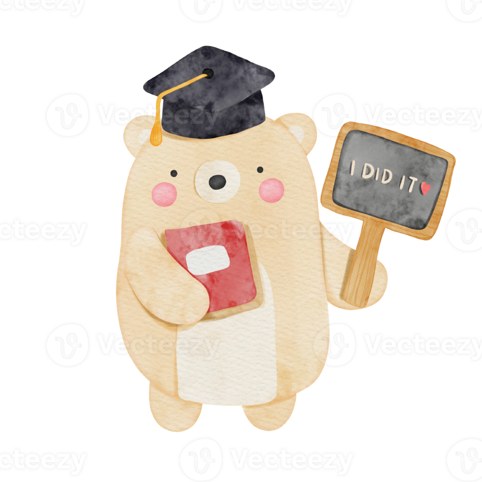 graduation bear watercolor png