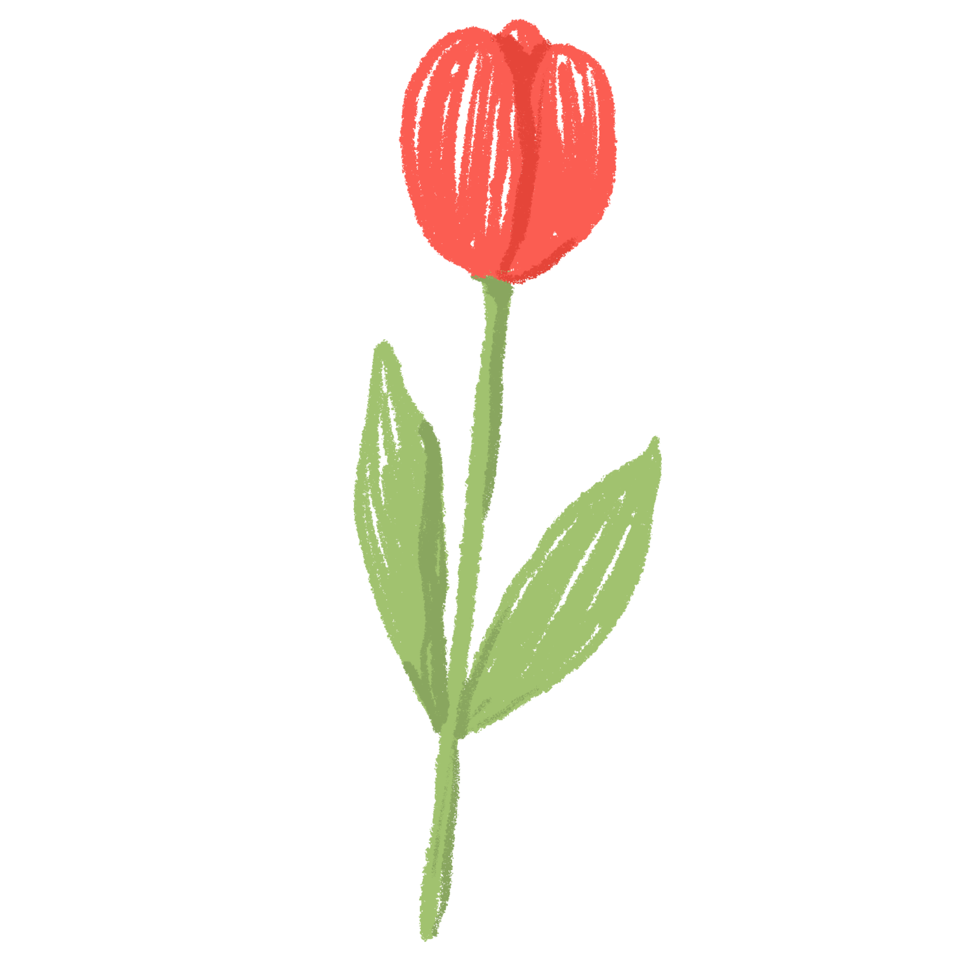 cute flower watercolor 26472696 PNG