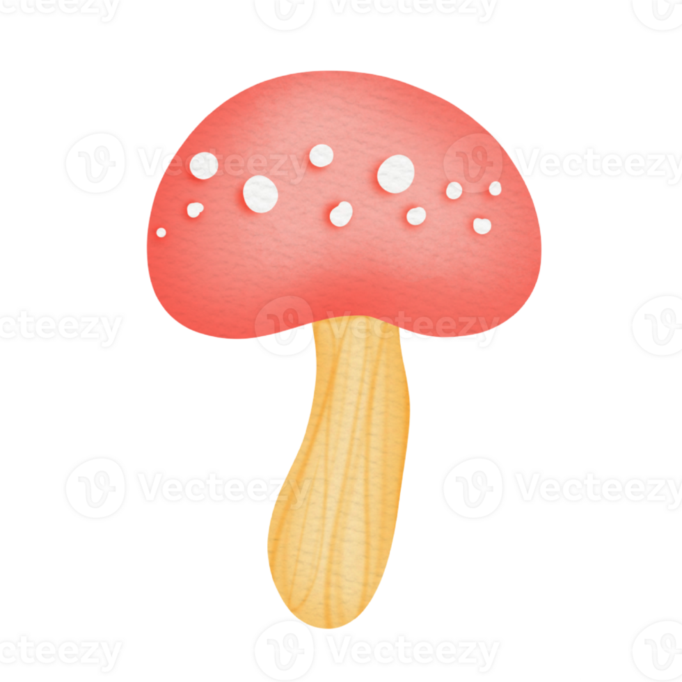 cute mushroom watercolor 26477415 PNG