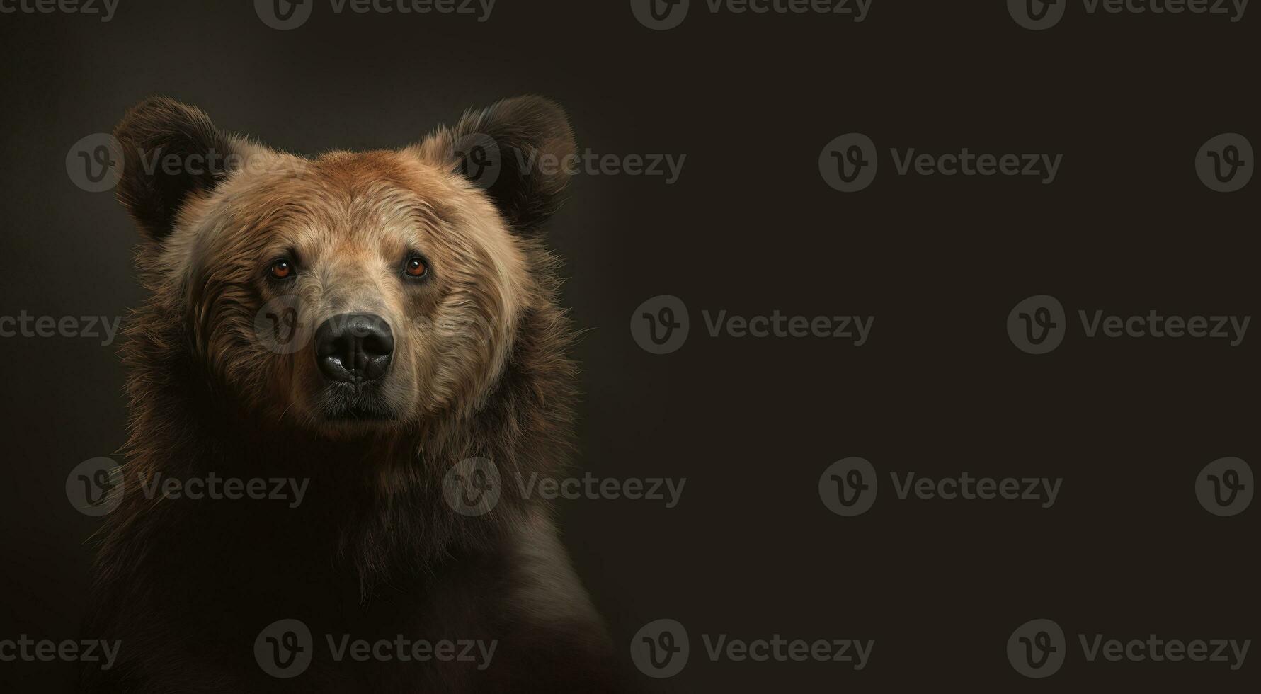 Beautiful Carpathian brown bear against a black horizontal background with space for text. Wild animal. Generative AI. photo
