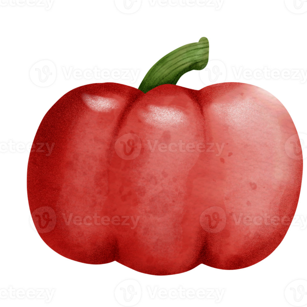 vegetable pepper watercolor png