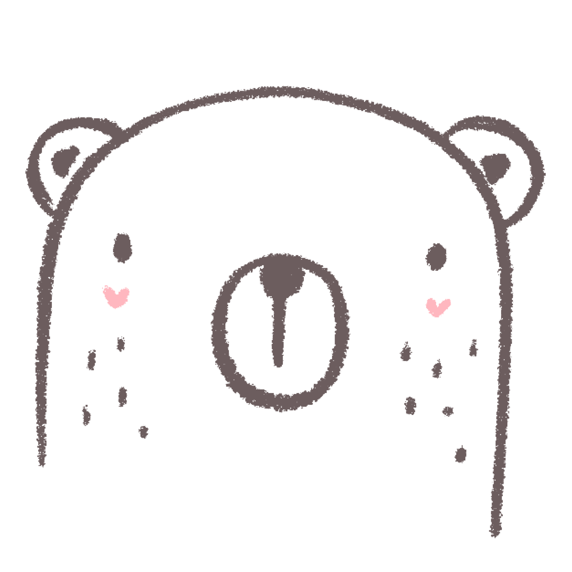 cute-bear-outline-26480586-png