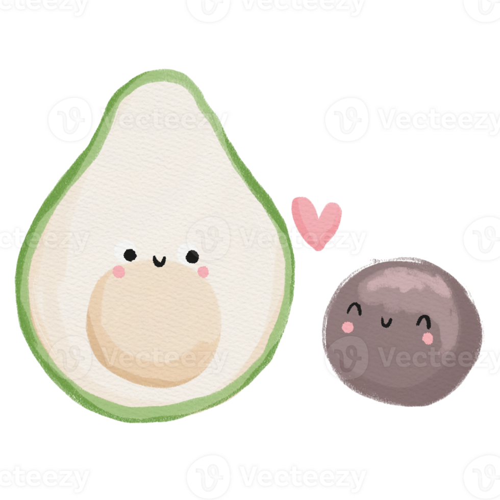 avocado fruit watercolor png