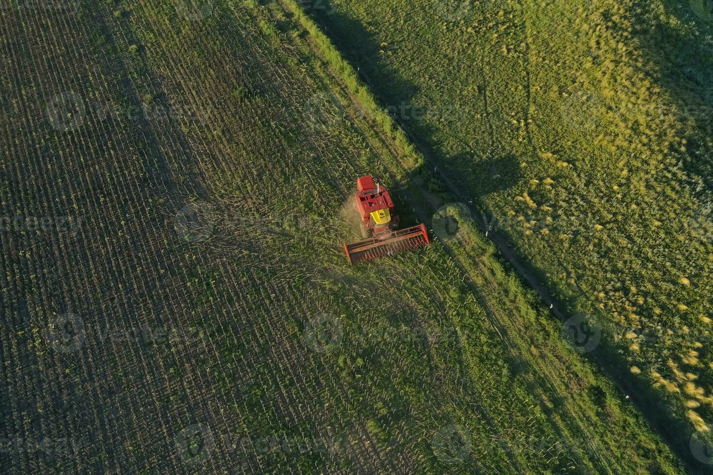 Harvester in Pampas Countryside, aerial view, La Pampa province, Argentina. photo