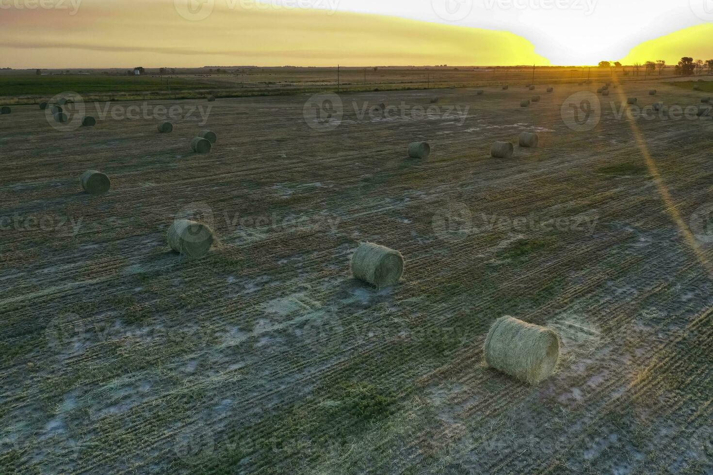 Grass bale in the Pampas countryside, Buenos Aires Province, Argentina photo