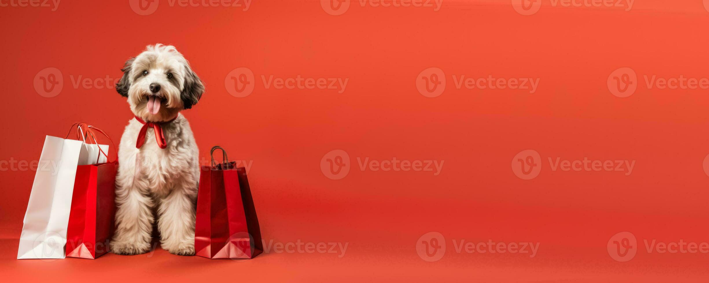 Dog with shopping bags red background with empty space photo