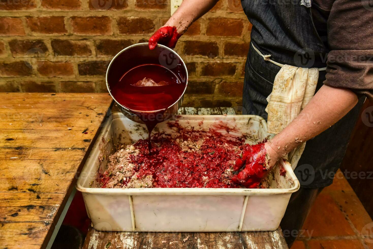 Handmade blood sausage preparation, Argentine tradition, Pampas, Patagonia photo