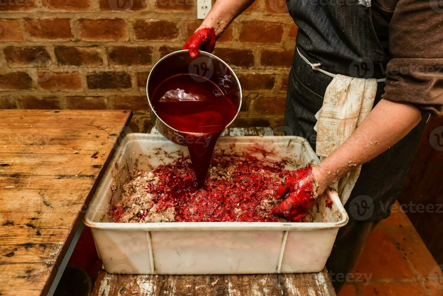 Handmade blood sausage preparation, Argentine tradition, Pampas, Patagonia photo