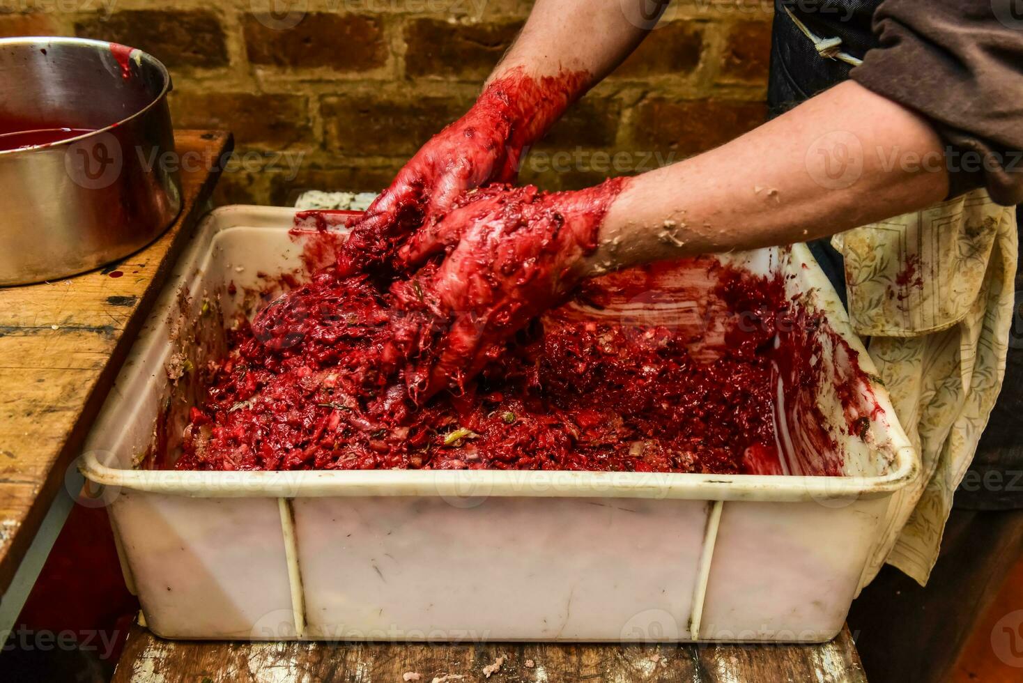 Handmade blood sausage preparation, Argentine tradition, Pampas, Patagonia photo