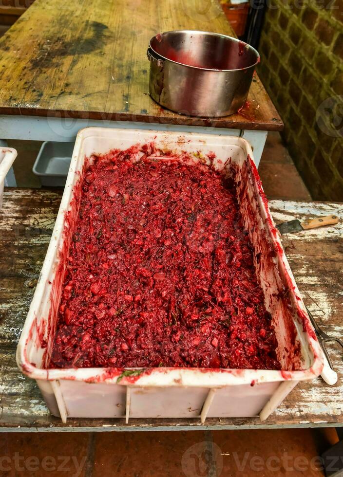 Handmade blood sausage preparation, Argentine tradition, Pampas, Patagonia photo