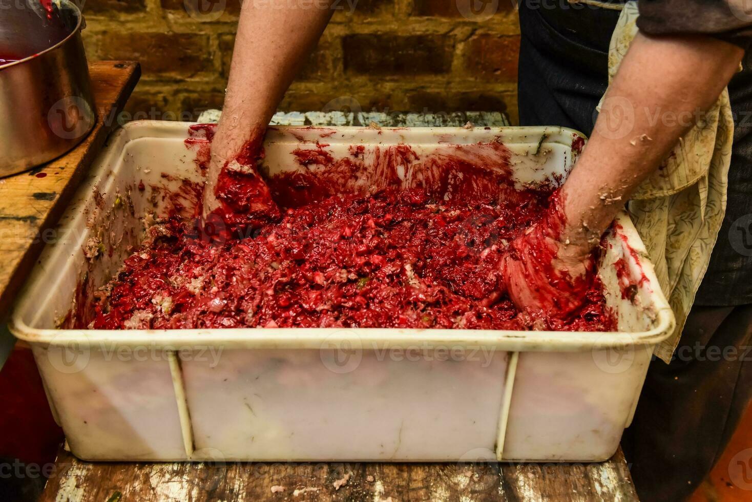 Handmade blood sausage preparation, Argentine tradition, Pampas, Patagonia photo