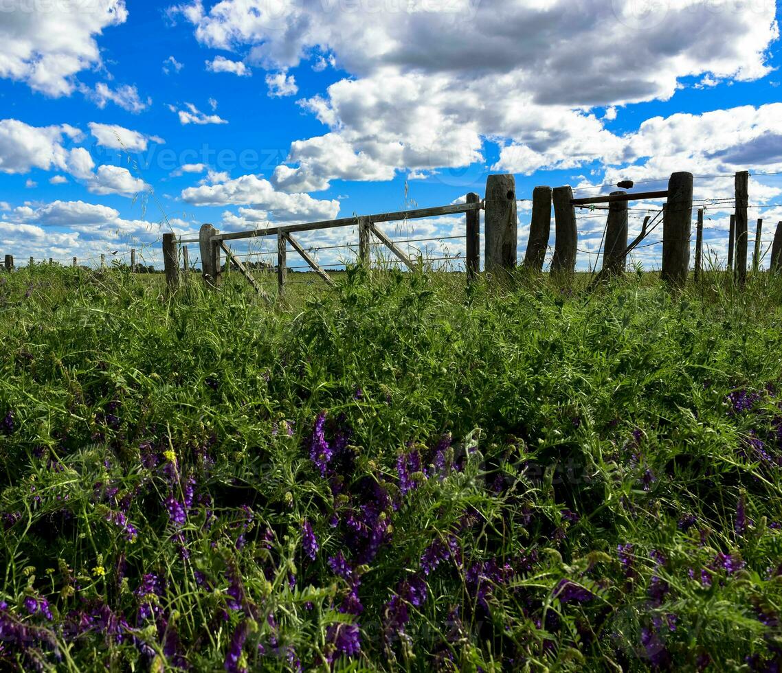 Colorful landscape, Pampas, Argentina photo
