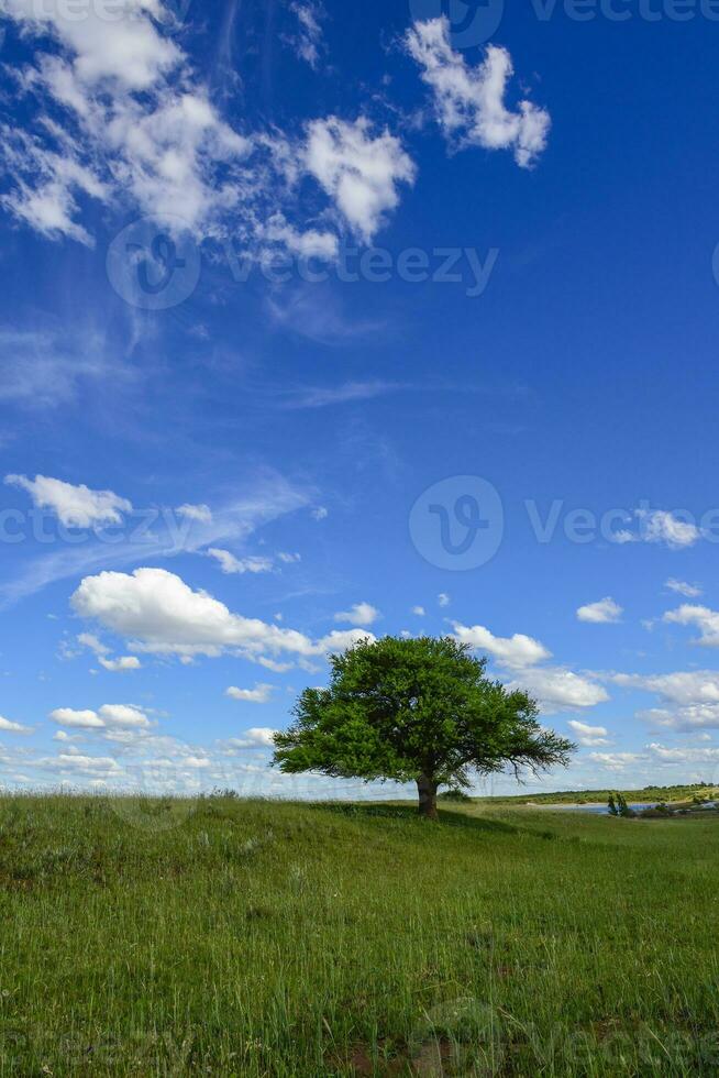 Colorful landscape, Pampas, Argentina photo