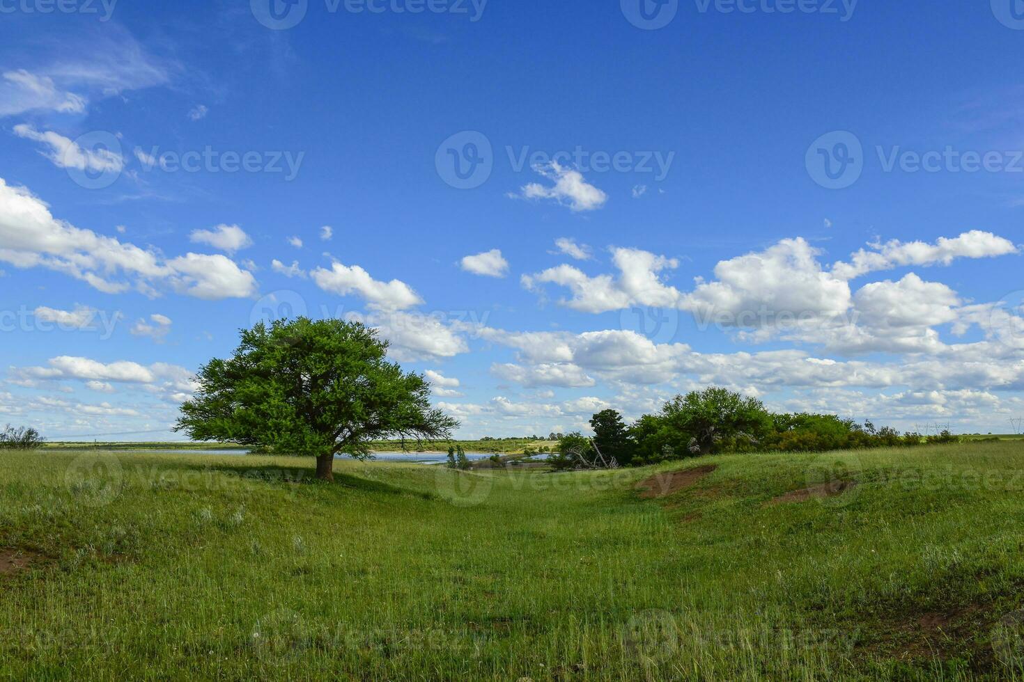 vistoso paisaje, pampa, argentina foto