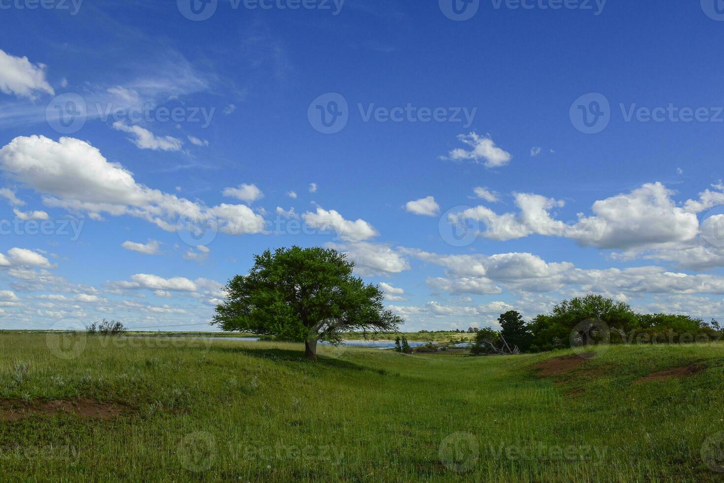 Colorful landscape, Pampas, Argentina photo