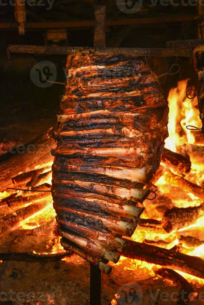 Cow ribbs on the spit, Patagonia, Argentina photo