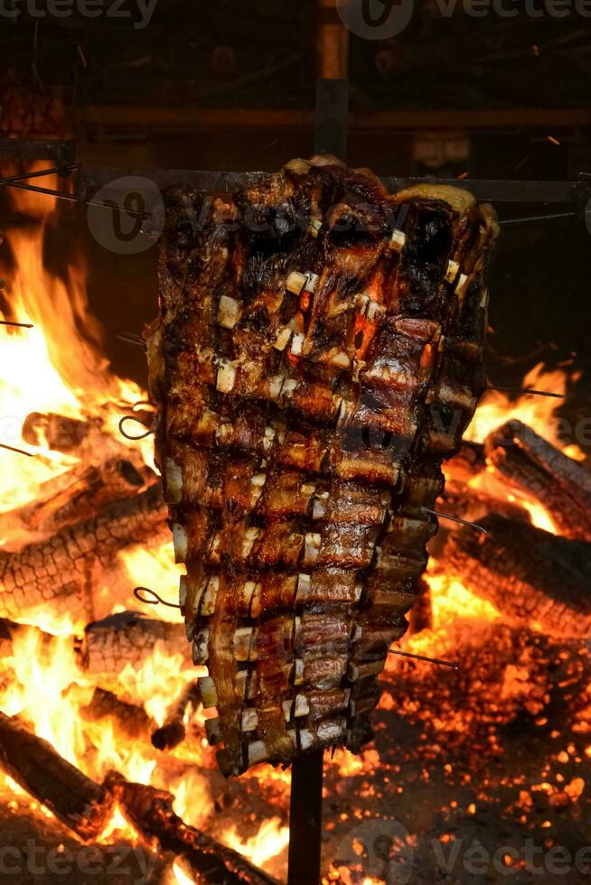 Cow ribbs on the spit, Patagonia, Argentina photo