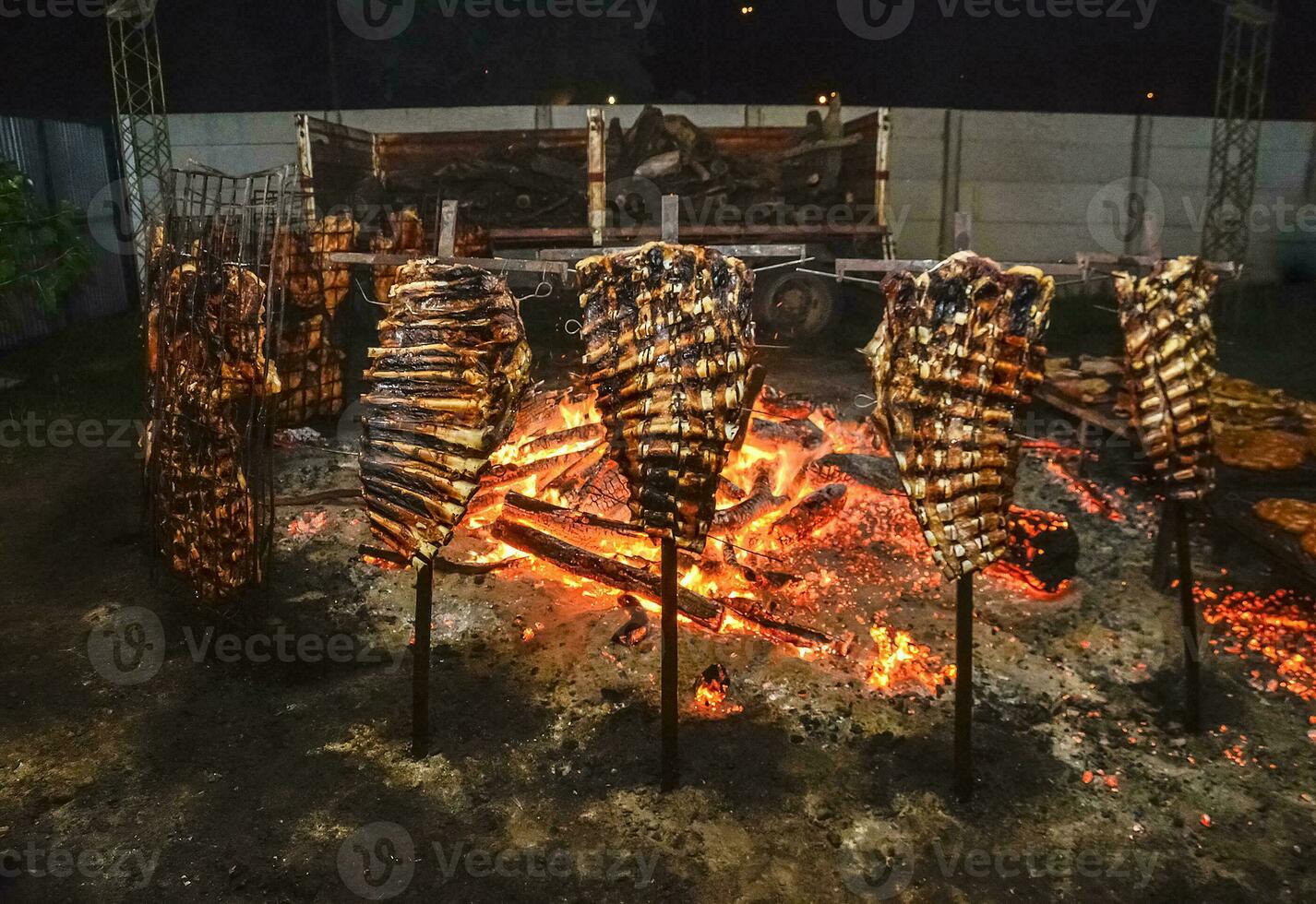 vaca costillas en el escupir, Patagonia, argentina foto