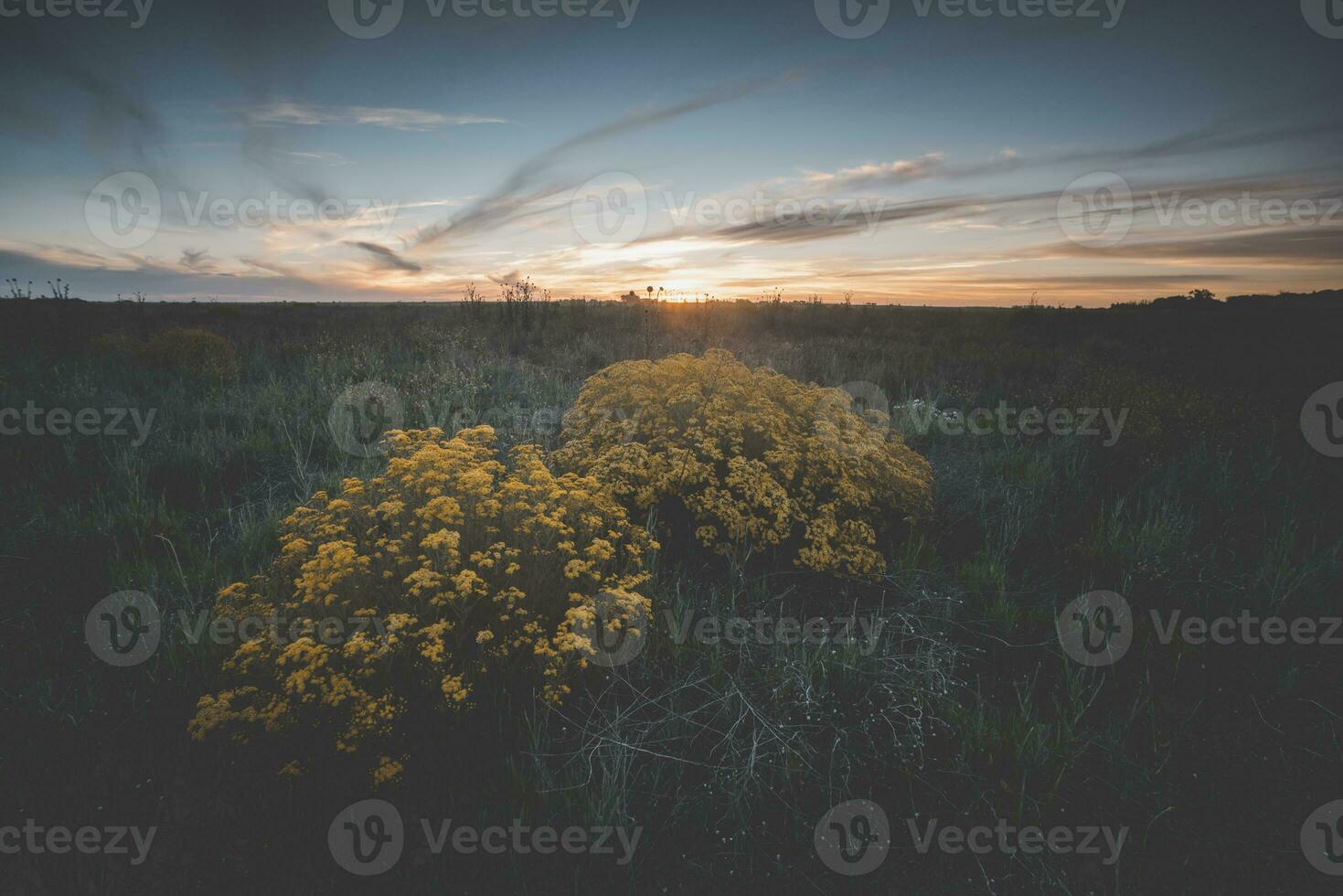 Flowery vintage landscape photo