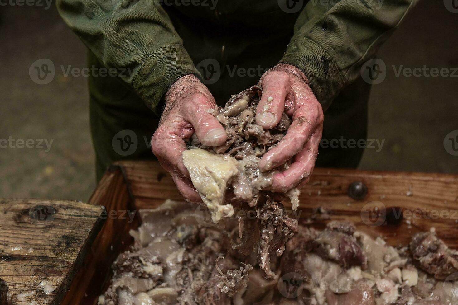 Hands mixing ingredients to stuff white sausage, Argentina photo