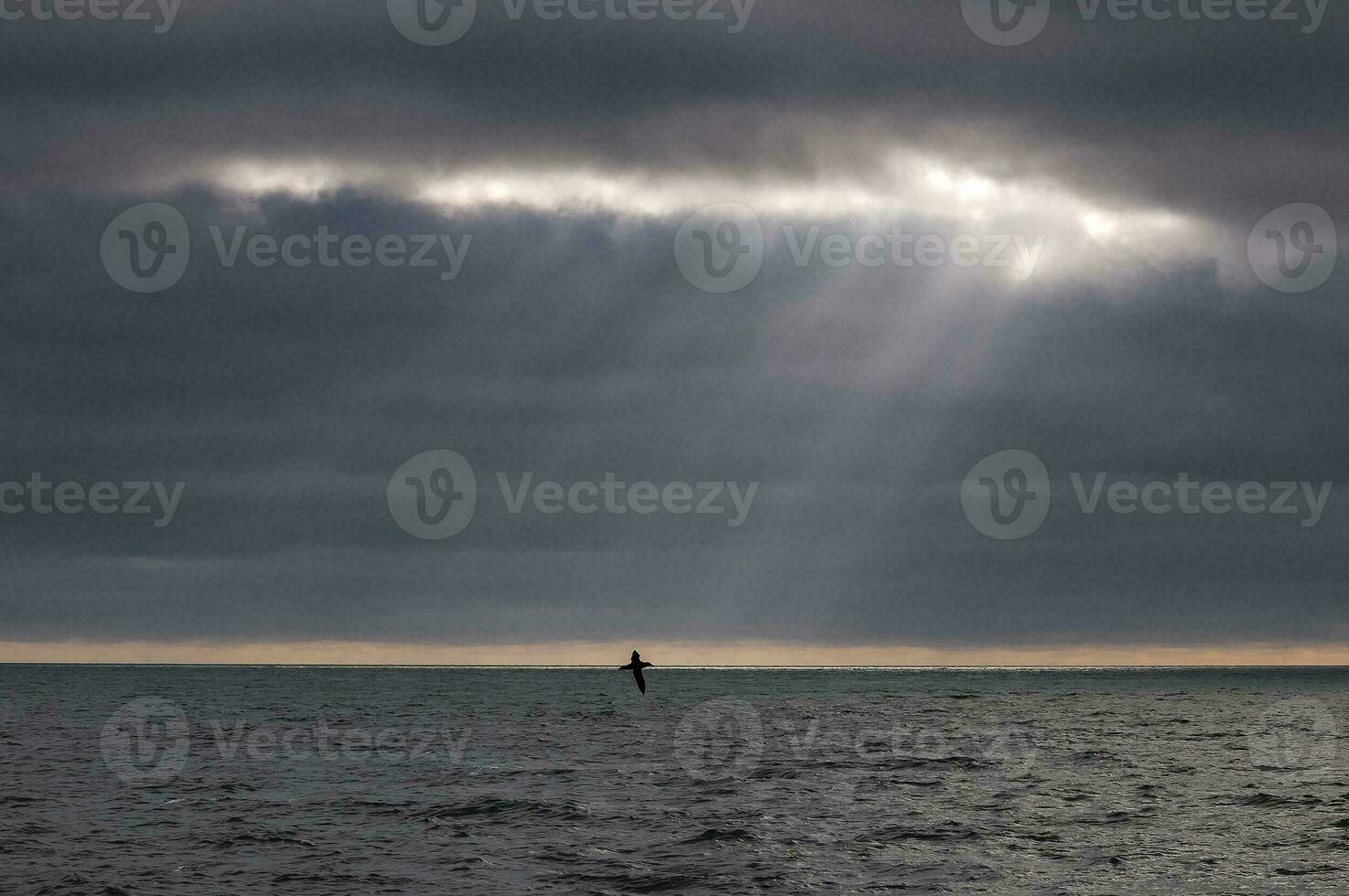 Sunbeams after a storm in the ocean, Patagonia, Argentina photo