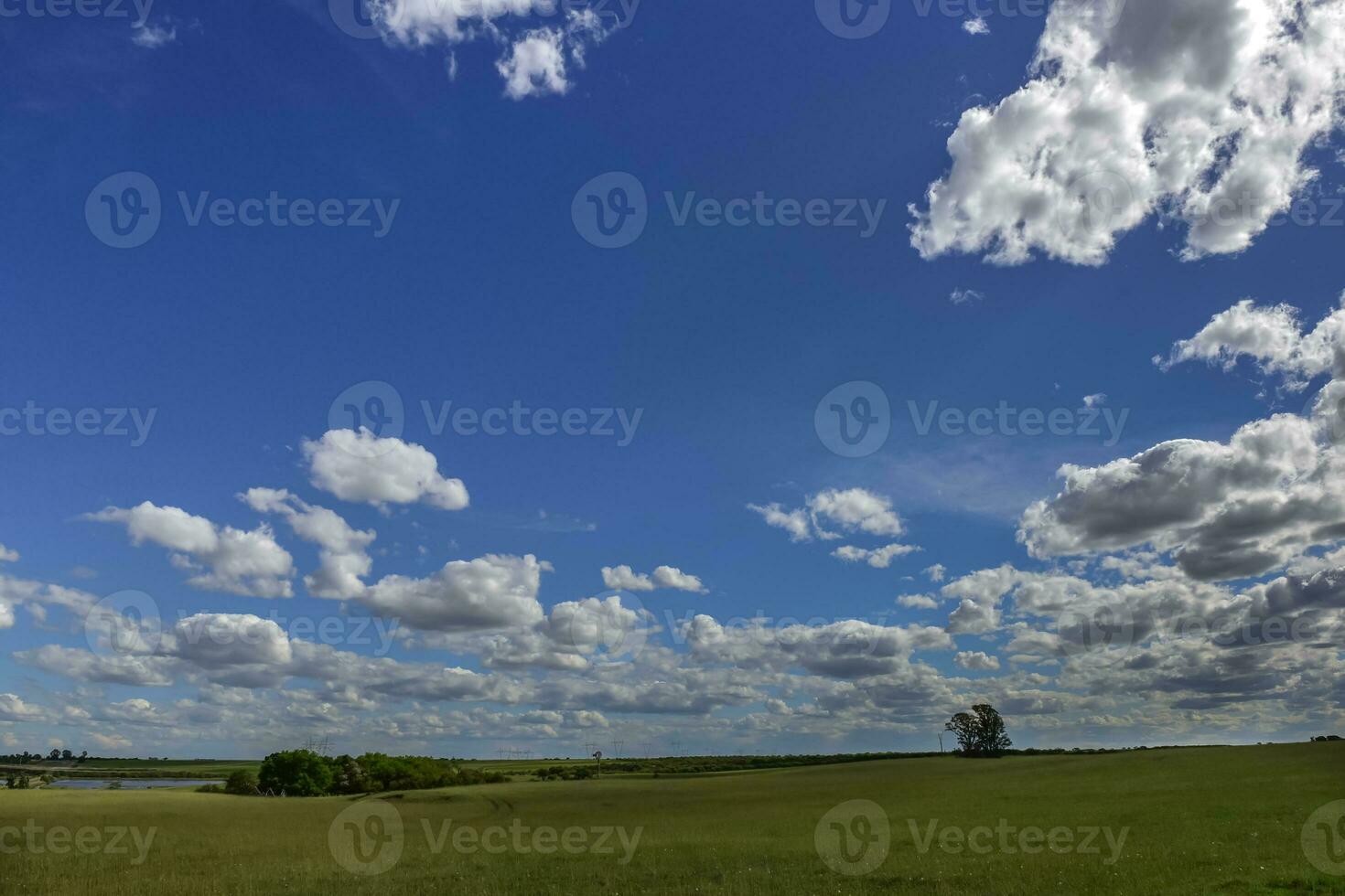 vistoso paisaje, pampa, argentina foto