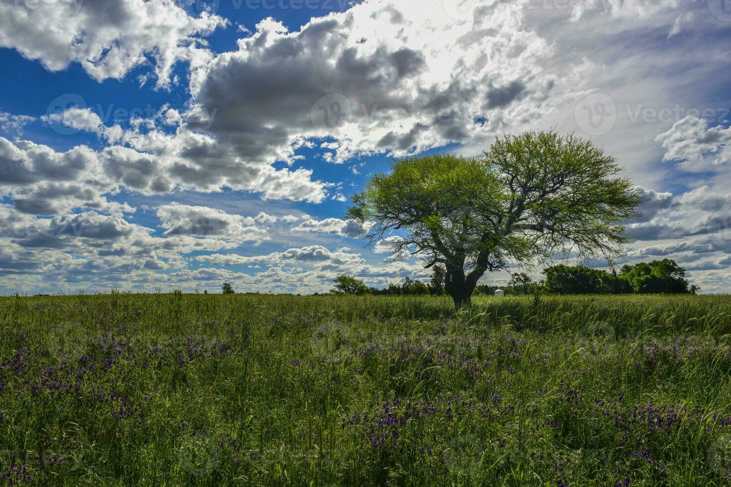 Colorful landscape, Pampas, Argentina photo