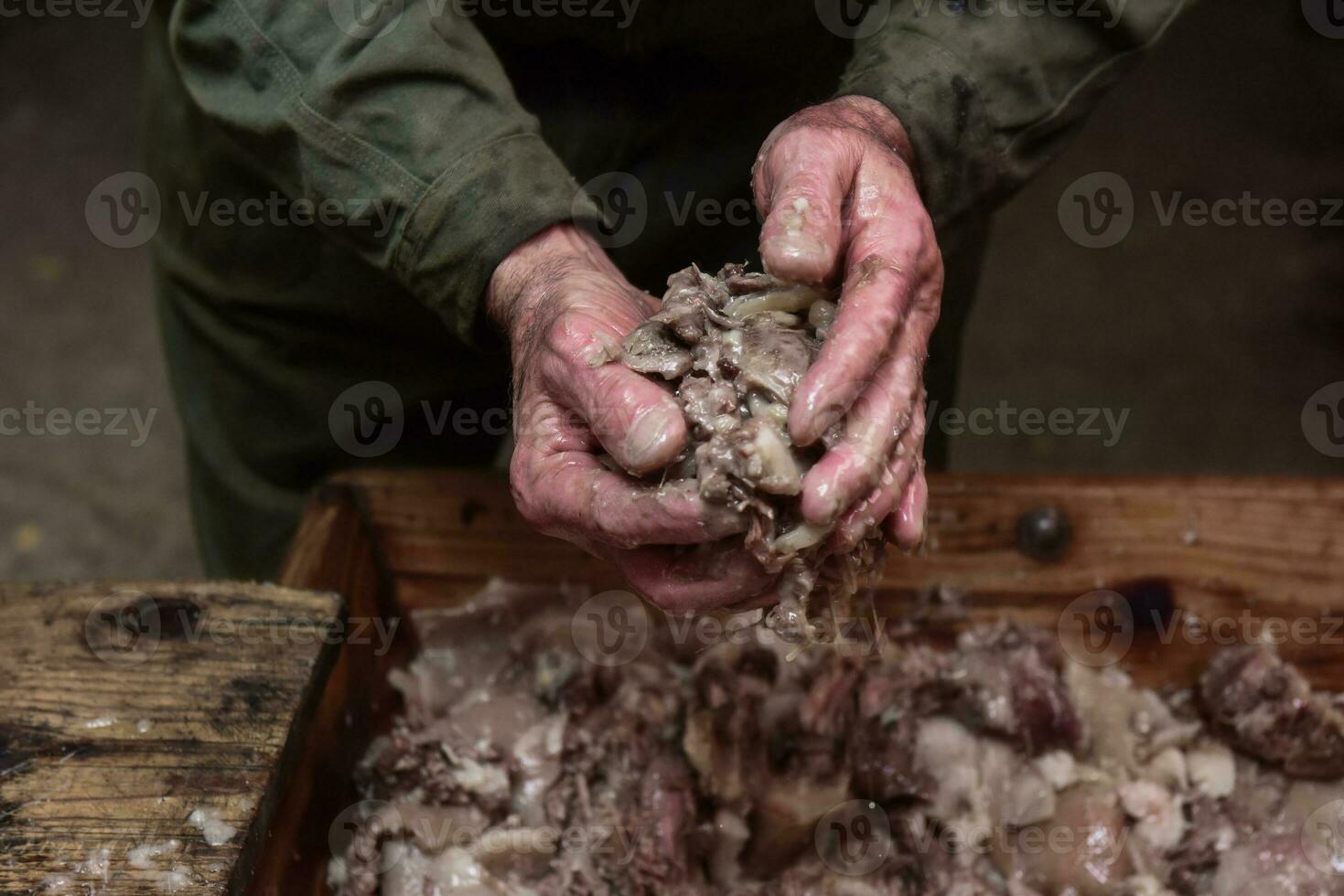 Hands mixing ingredients to stuff white sausage, Argentina photo