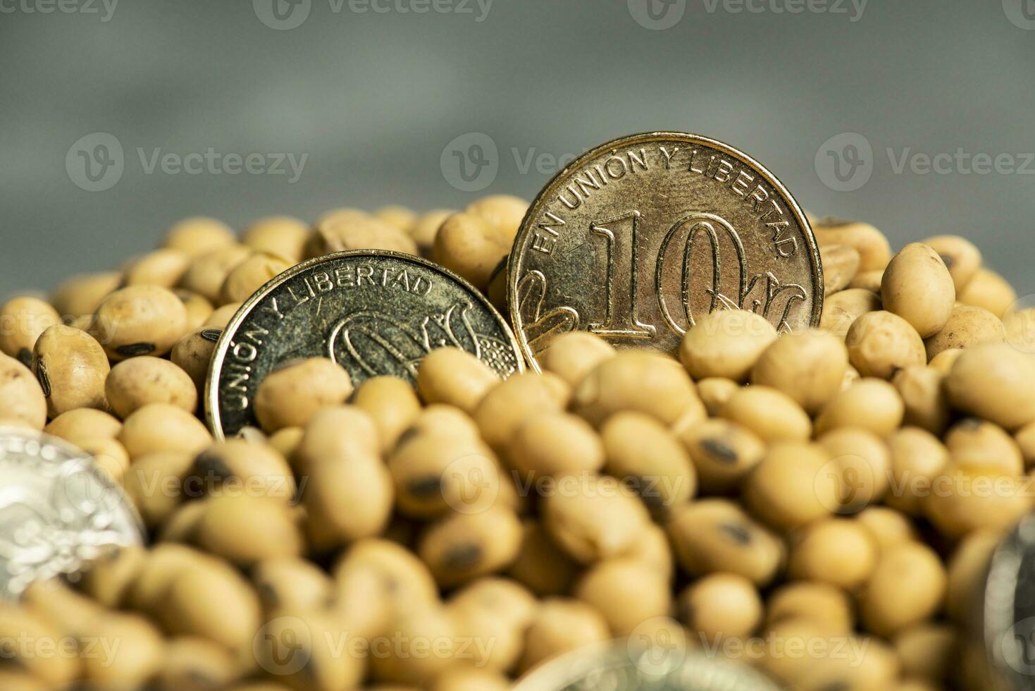 Dollars banknotes and coins and soy beans, commoditi value concept. photo