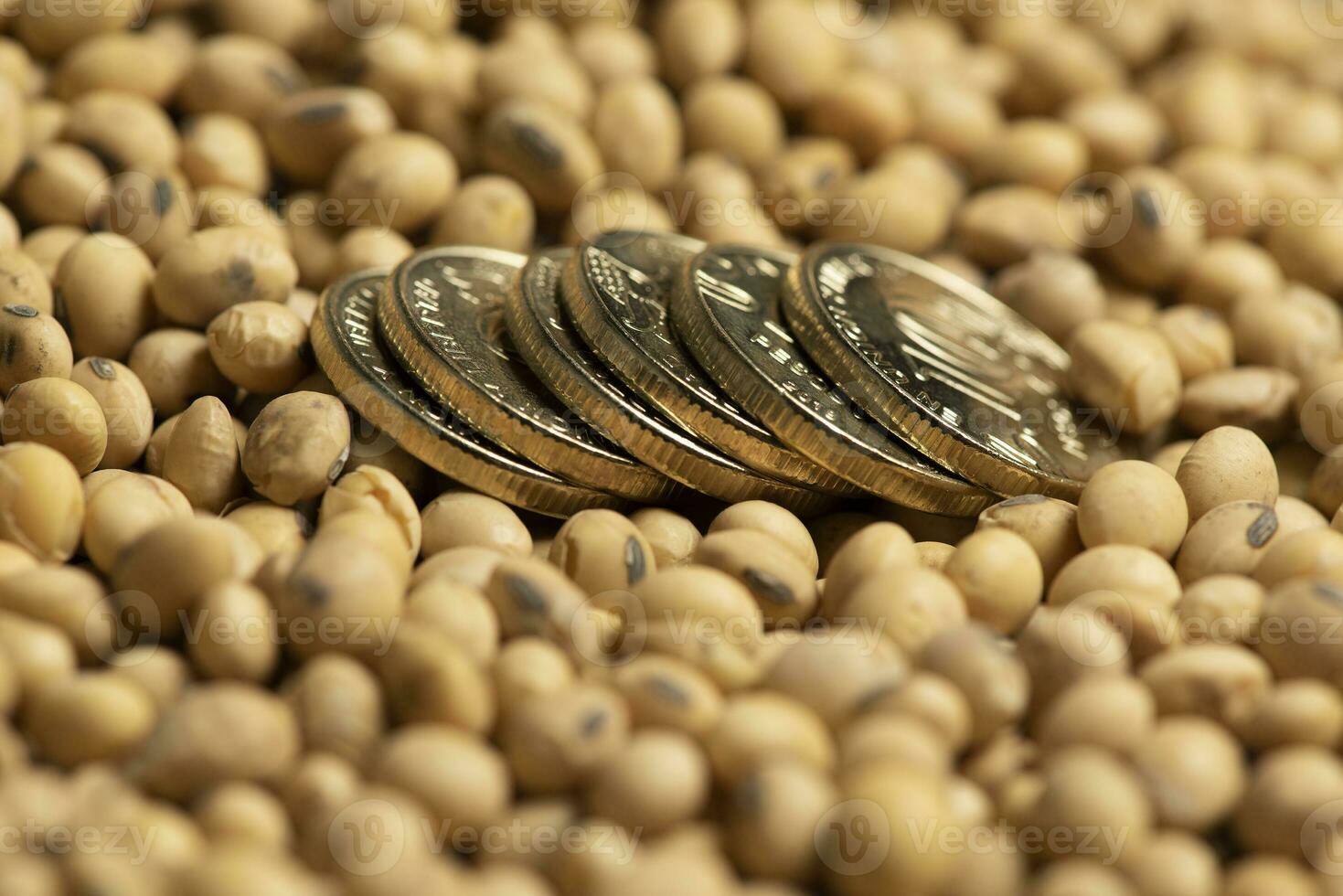 Soy beans, with metal money, concept of value of commodity. photo