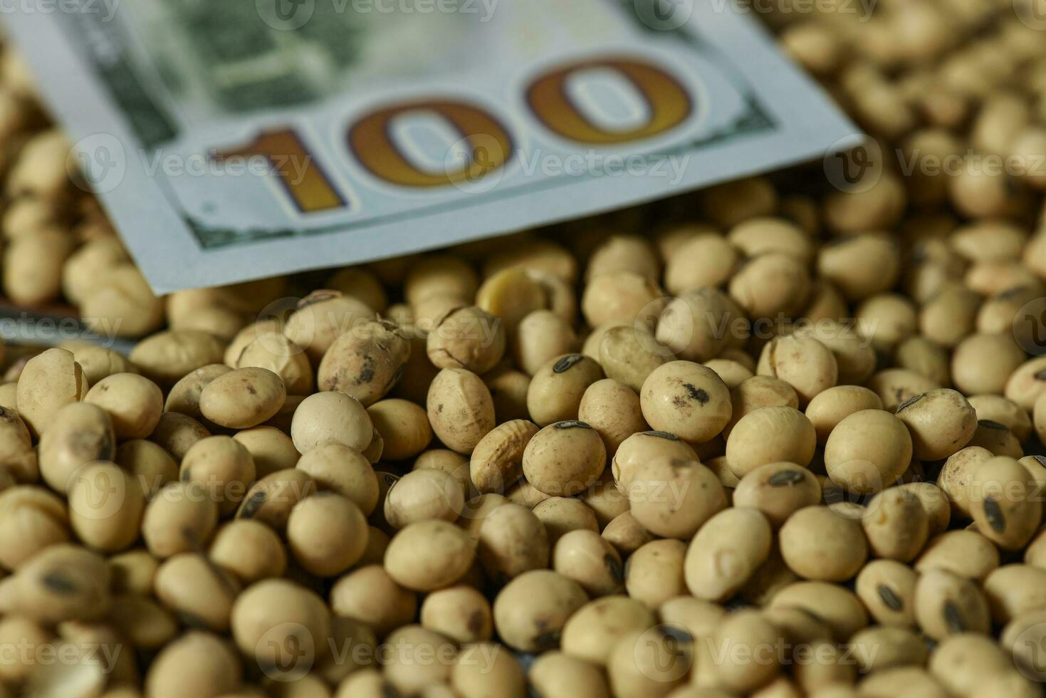 Dollars banknotes and coins and soy beans, commoditi value concept. photo