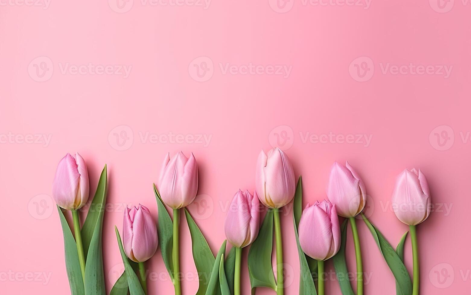 Pink peonies in a row on a pink background. AI, photo