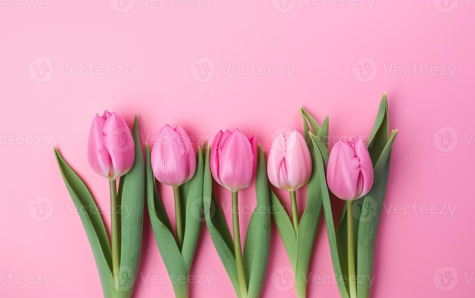Pink peonies in a row on a pink background. AI, photo