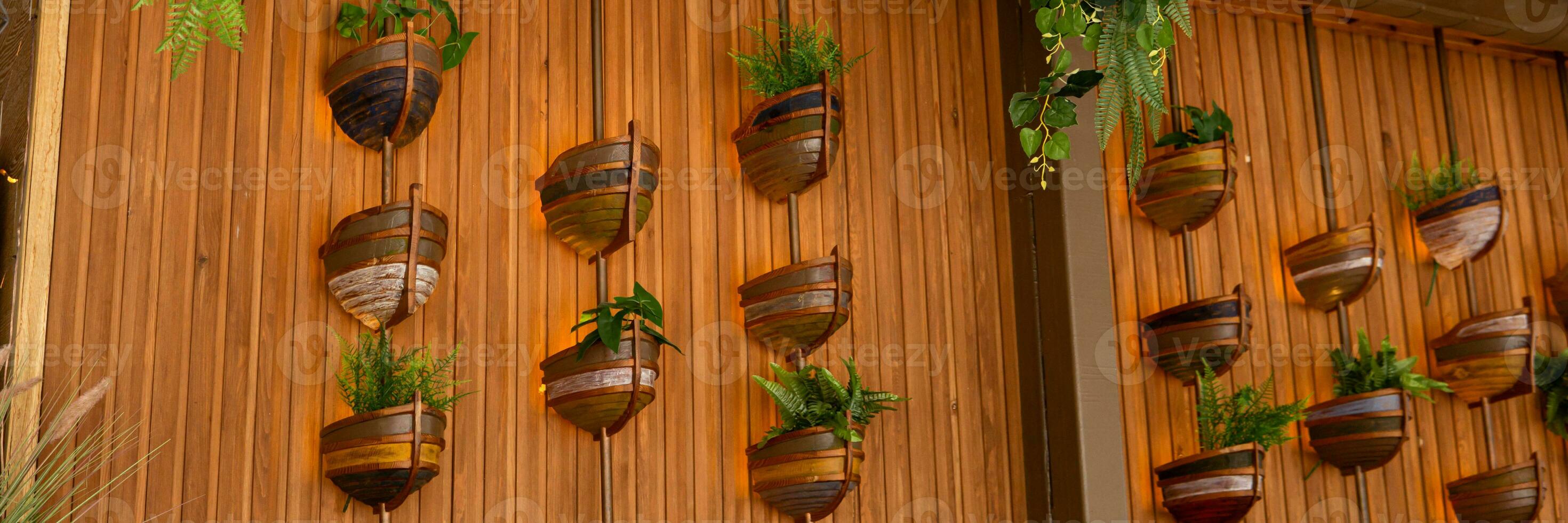 Cafe interior with elements of biophilic design. The concept of biophilia photo