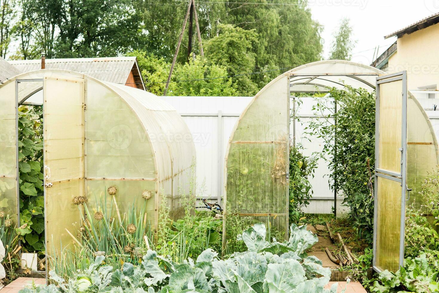 Large greenhouses for growing homemade vegetables. The concept of gardening and life in the country. photo