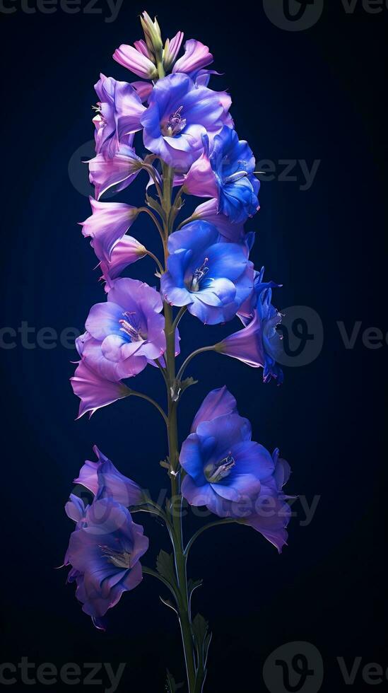 Abstract floral wallpaper with black background, backlit photography photo