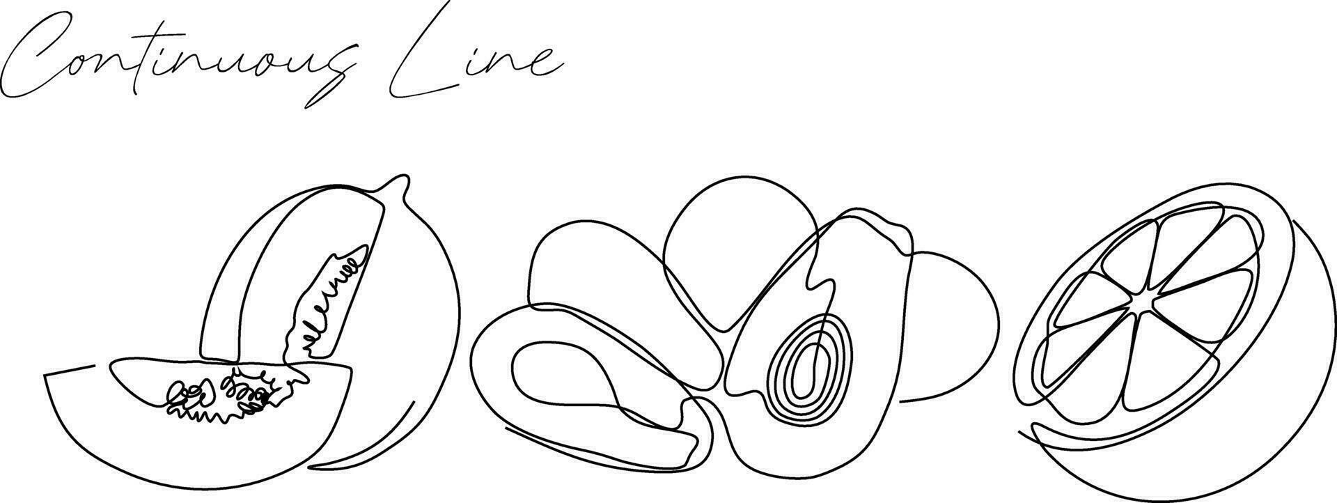 Set of bundles of continuous line drawing of fruits vector