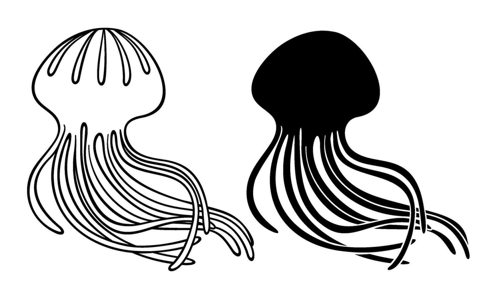 Vector jellyfish. Isolated black and white sketch of sea animal. Silhouette and outline of ocean creature.