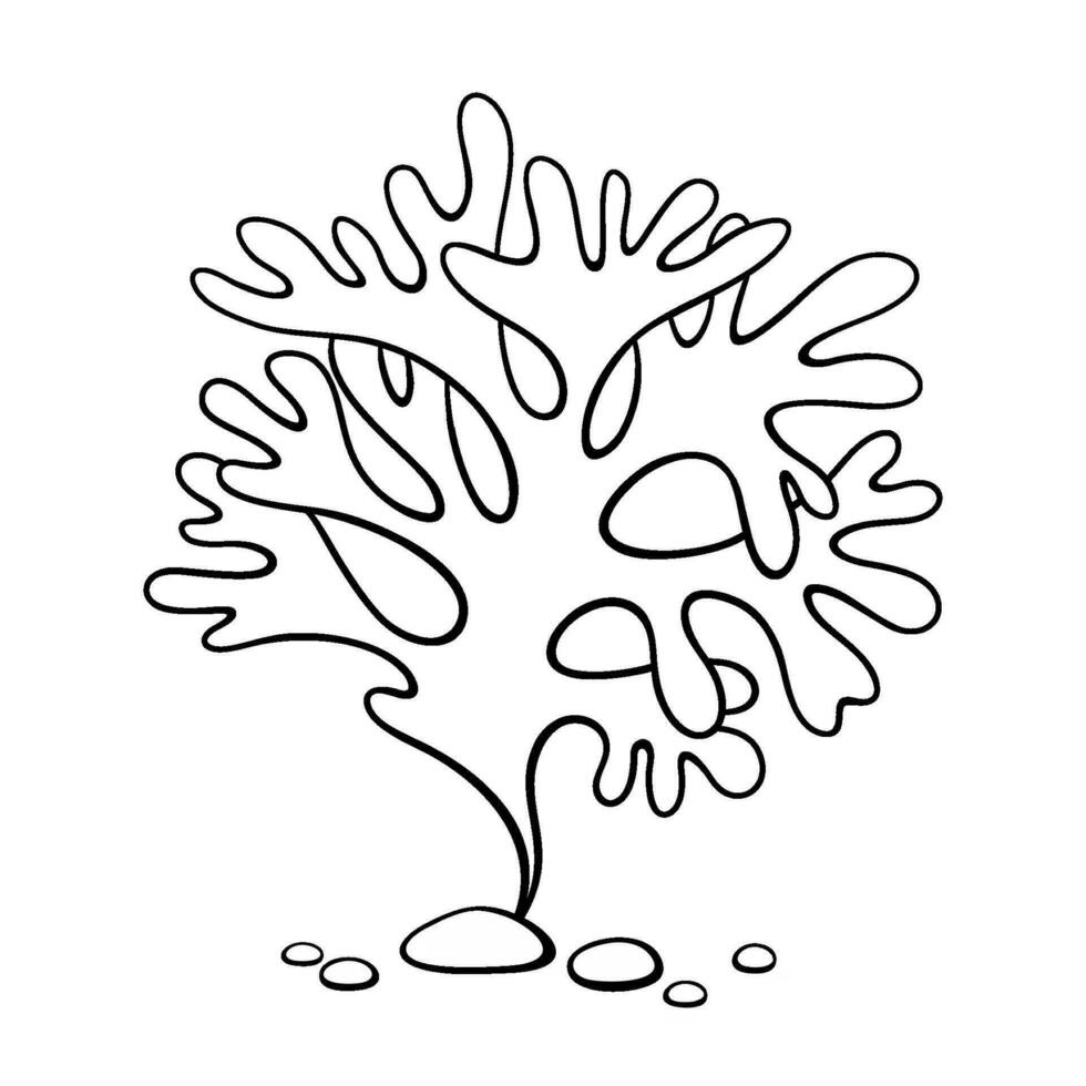 Algae. Outline underwater plant. Black and white illustration of seaweed . Vector clipart isolated on white background.