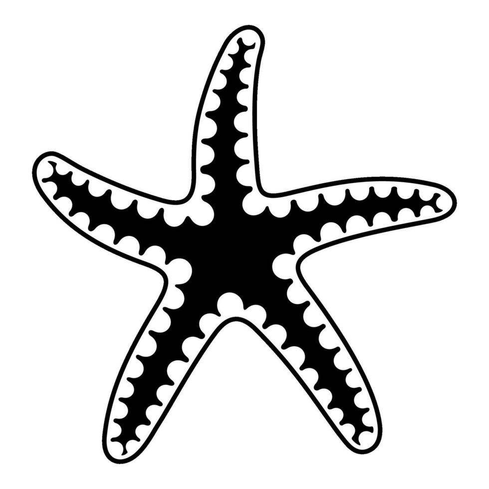 Black and white sketch of starfish. Sea creature. Monochrome vector clipart of ocean animal isolated on a white background.