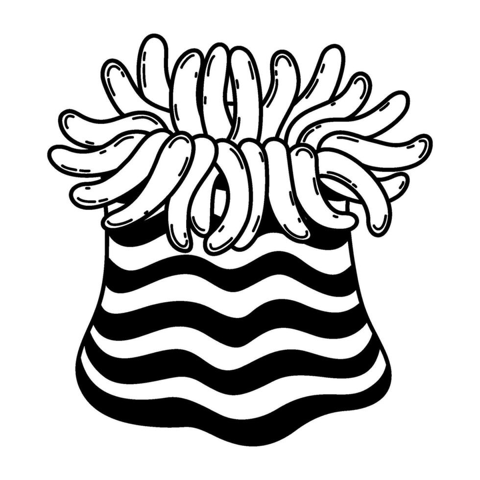 Actinia. Sea anemone. Ocean animal. Vector illustration on a marine theme isolated on a white background.