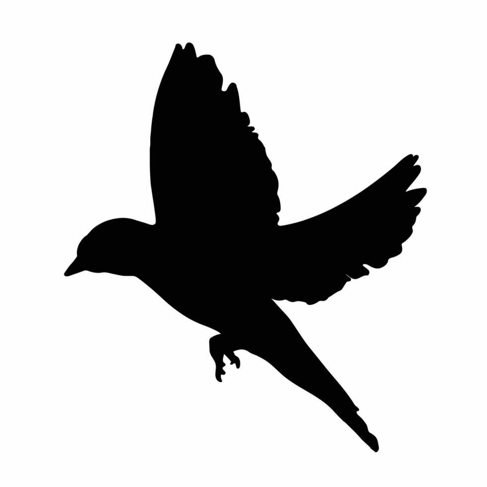 vector birds silhouettes