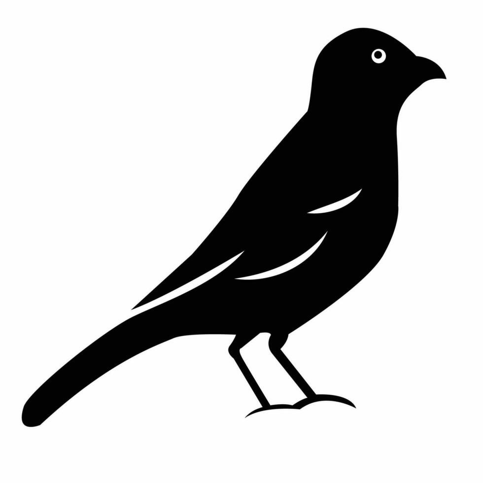 vector birds silhouettes