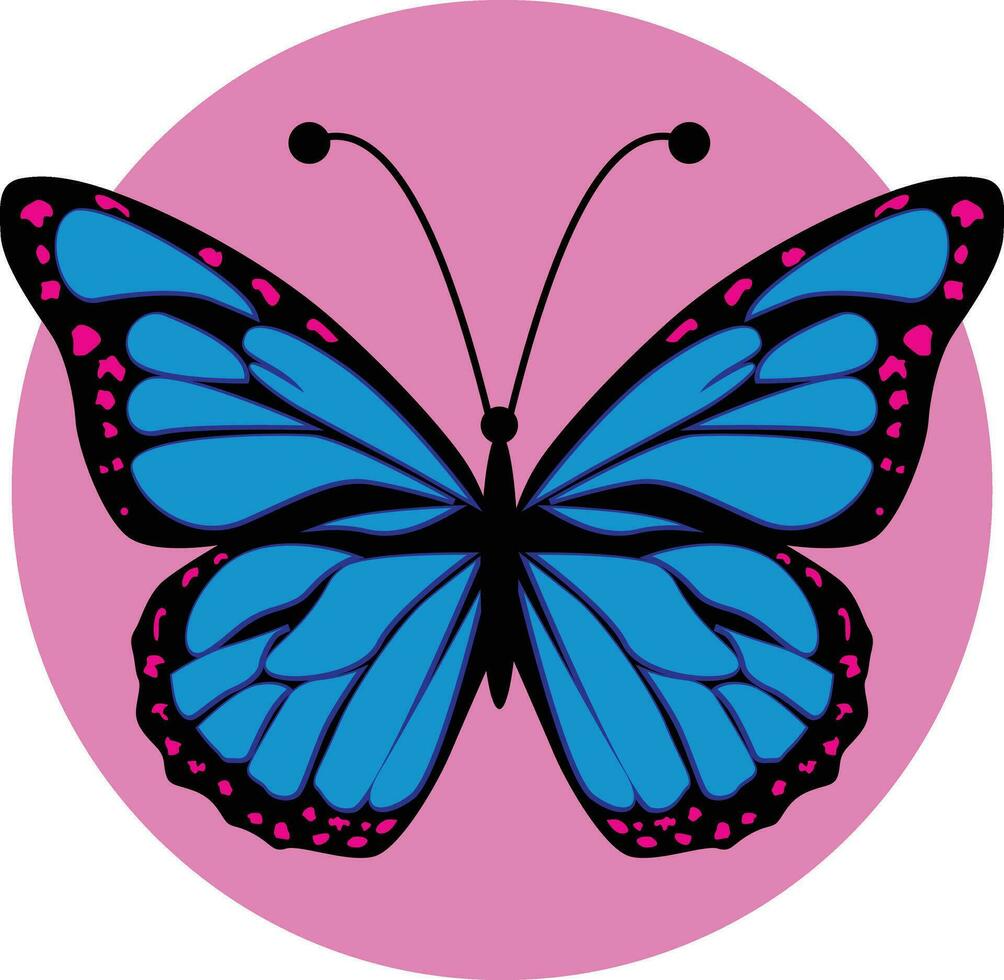 Beautiful vector isolated blue butterfly illustration
