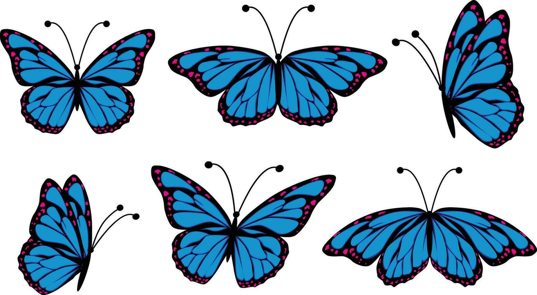 hermosa vector aislado azul mariposa ilustración
