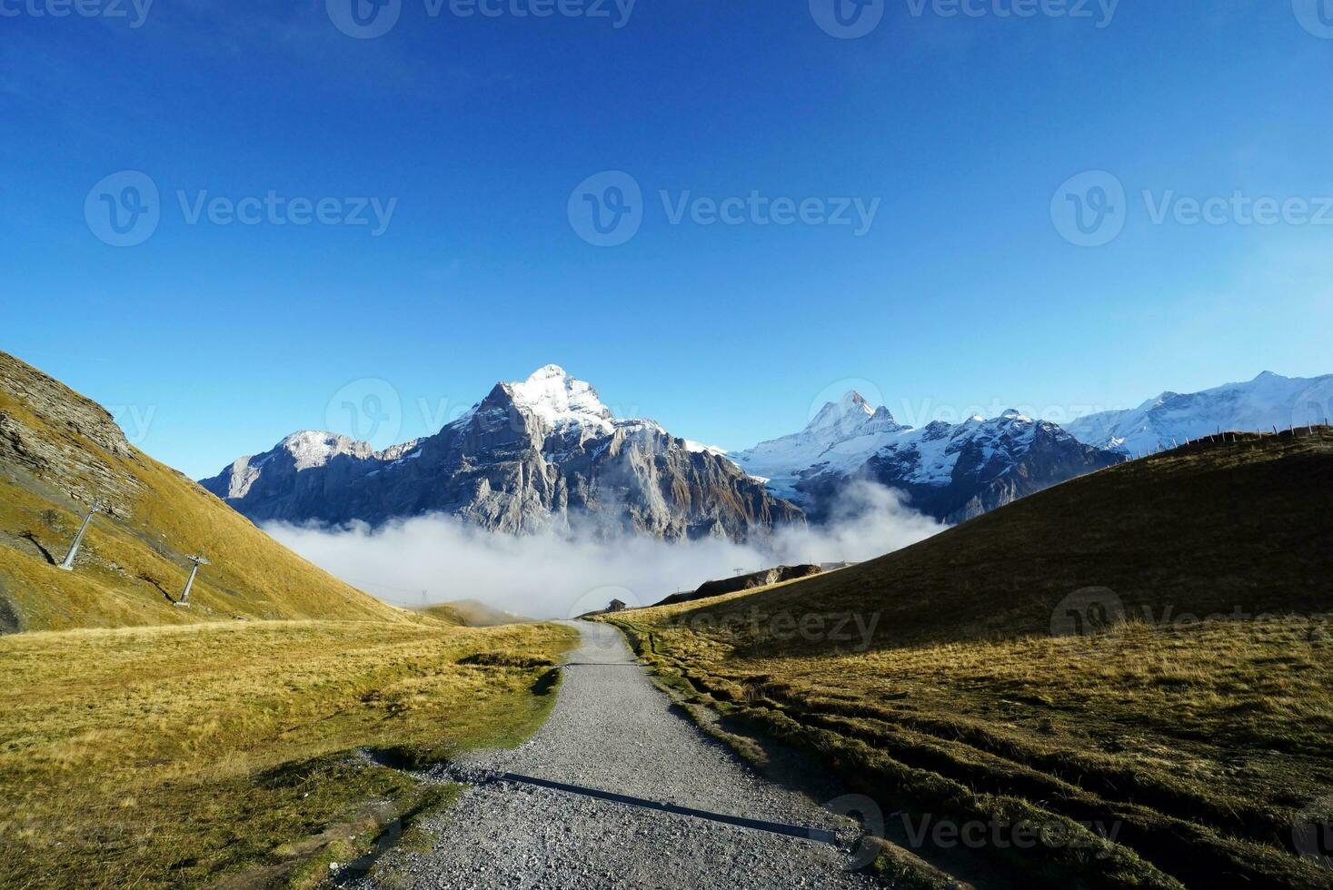 hermosa ver de naturaleza sendero en el mañana, Grindelwald primero, más alto picos eiger, Suiza Alpes. para senderismo, senderismo, alpinismo o naturaleza caminar actividades. foto