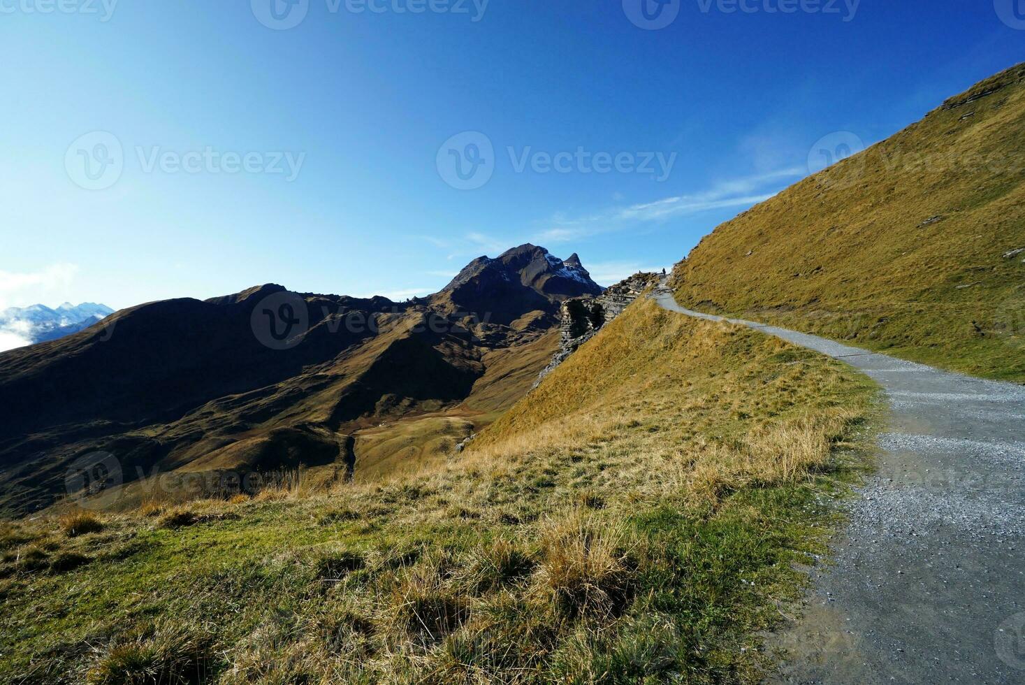 Beautiful view of nature trail in the morning, Grindelwald First, Highest peaks Eiger, Switzerland Alps. For trekking, hiking, mountaineering or nature walk activities. photo